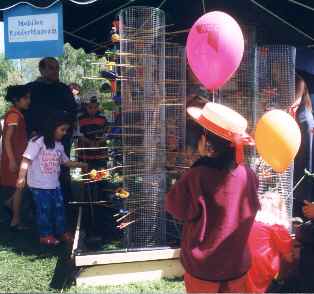 Probieren und Schauen